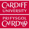 Chief Digital and Information Officer cardiff-wales-united-kingdom